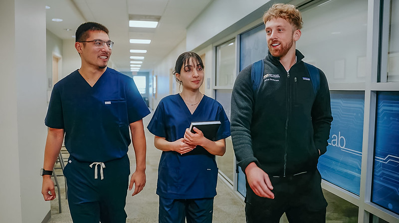 School of Medicine