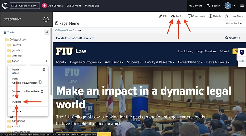 Red arrows pointing to the two publish options