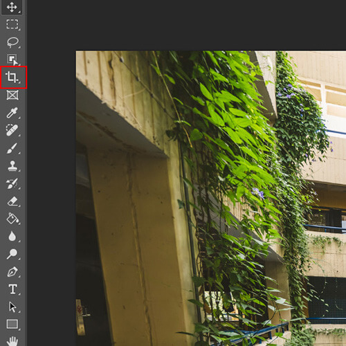Locating the crop tool in the upper-left corner of Adobe Photoshop