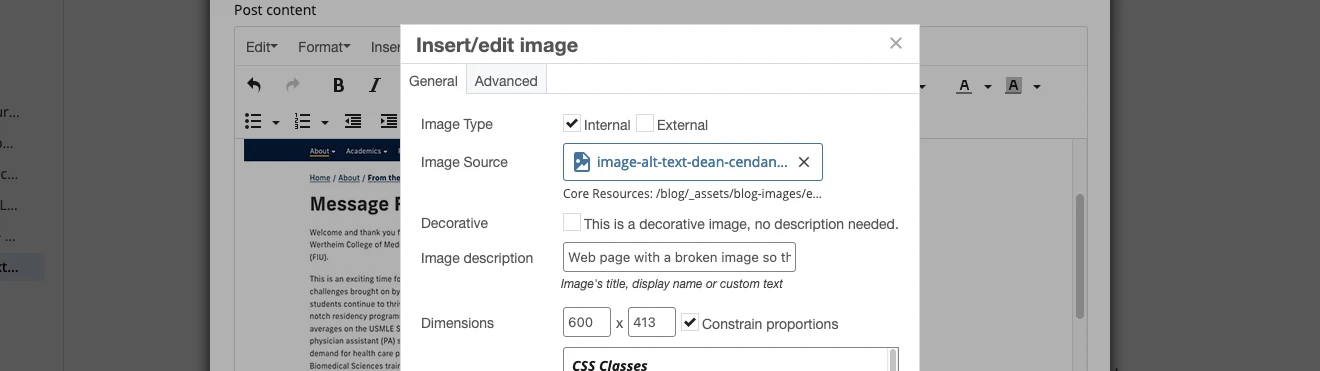 Cascade Insert/edit image panel with an example of an image with alt text