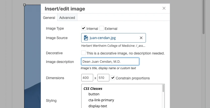 Insert/edit image panel