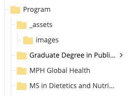 Figure 2: The _assets folder at the Programs folder level.  