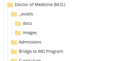 Figure 1: The _assets folder within each program.  