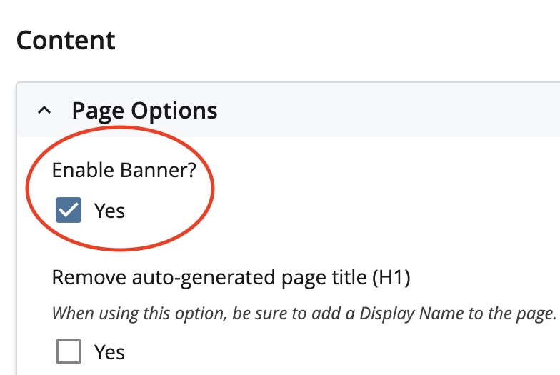 The banner option enabled on a page.