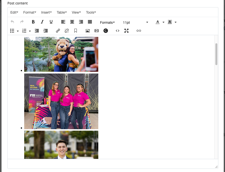 A screenshot of a bulleted list with images before being turned into an inline photo gallery.