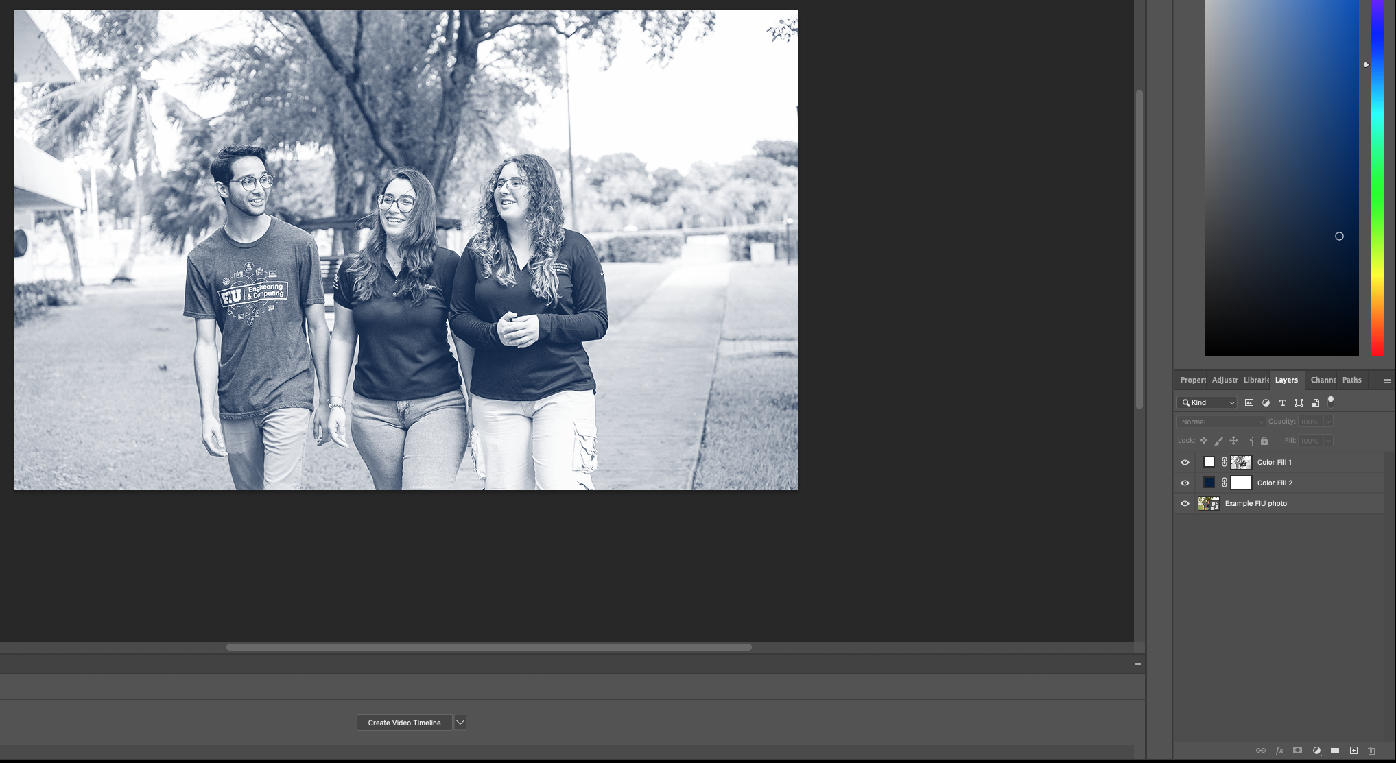 A screenshot showing the final duotone image