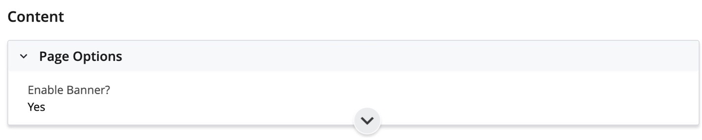 The Page Options section of the Page Editor