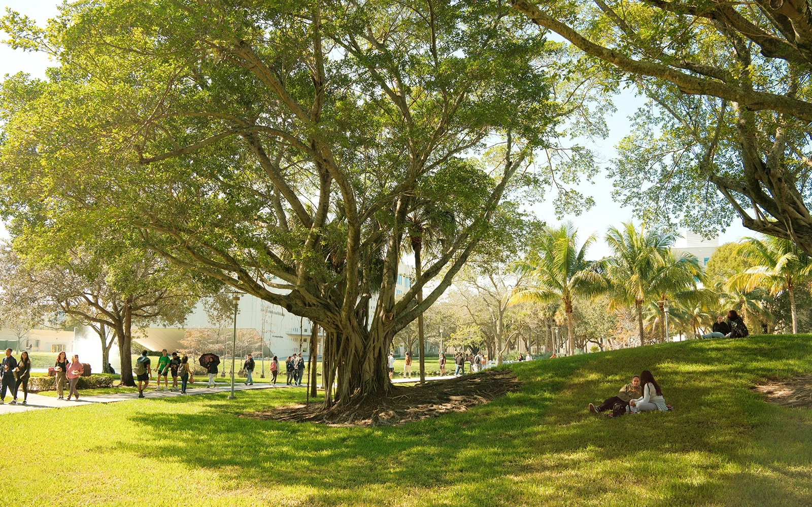 Walking path in front of FIU's SIPA building and bridge