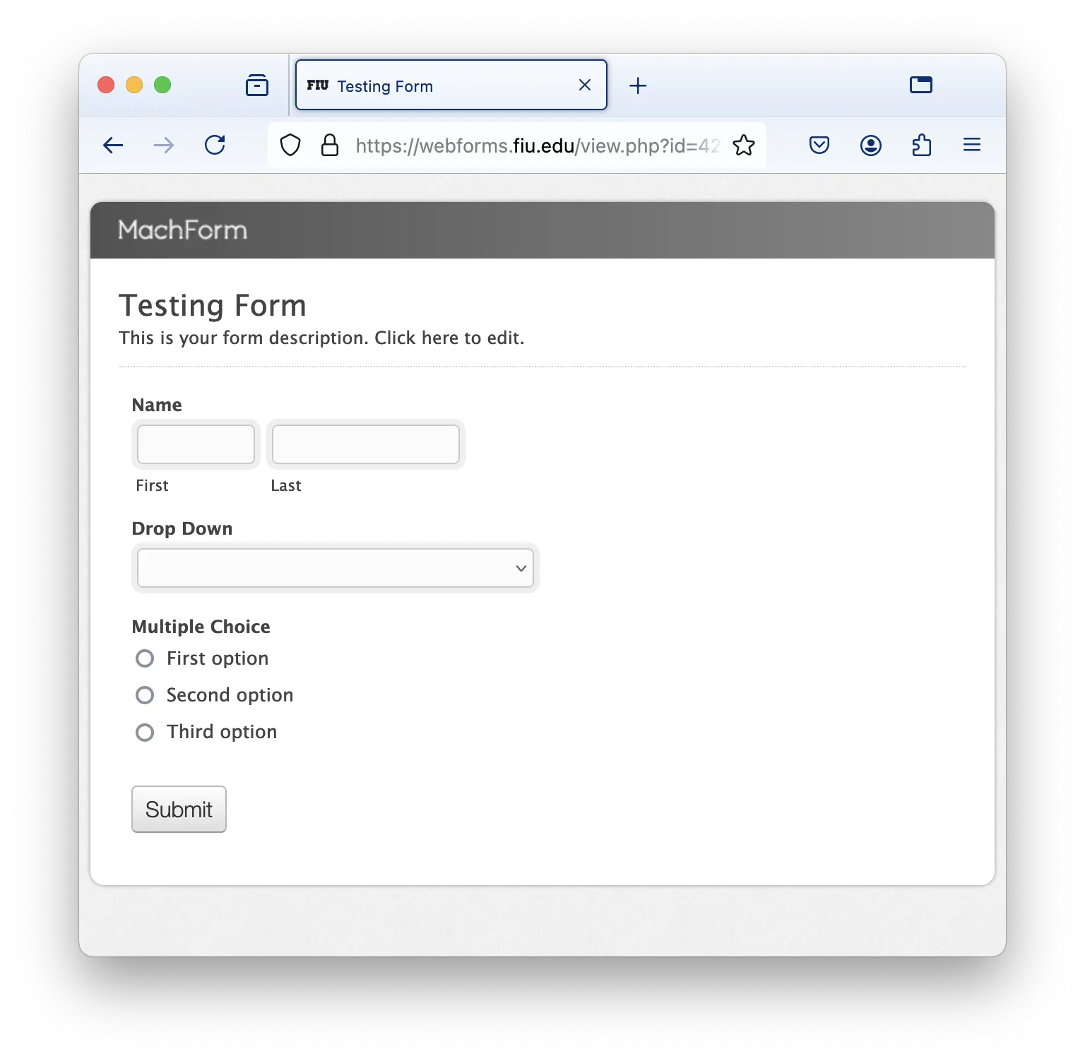 Screenshot of a sample form containing text fields, dropdown field and multiple options field.