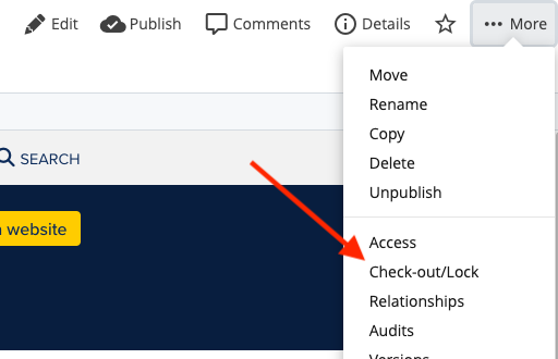 Check-out/Lock function within the More menu