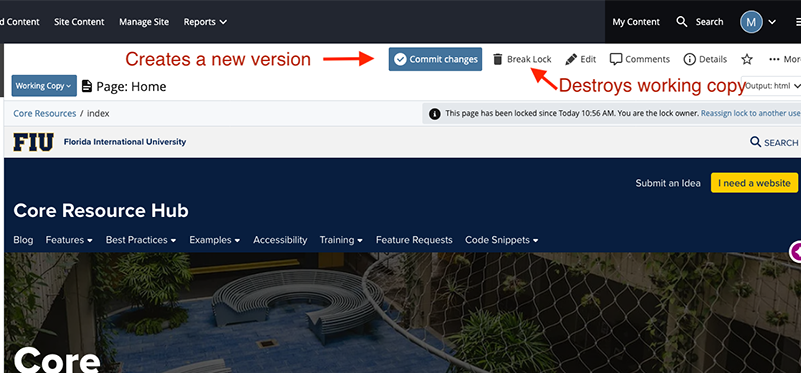 Page preview when in Check-out/Lock mode