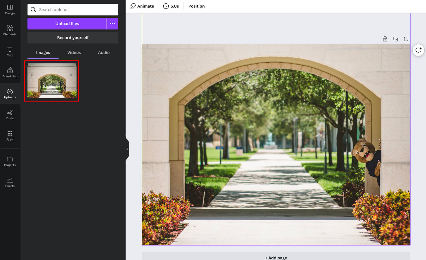 How to resize images using FIU’s Canva Enterprise membership