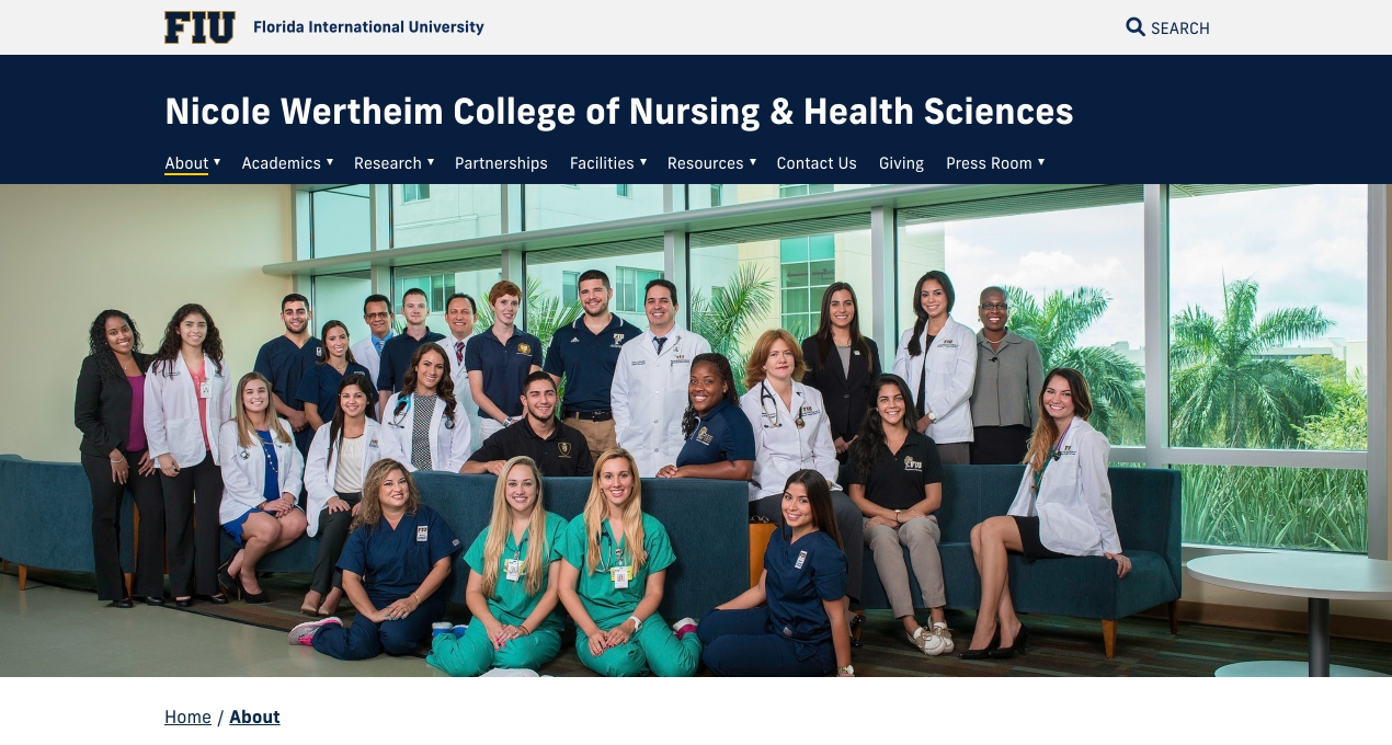Screenshot of the nursing college website